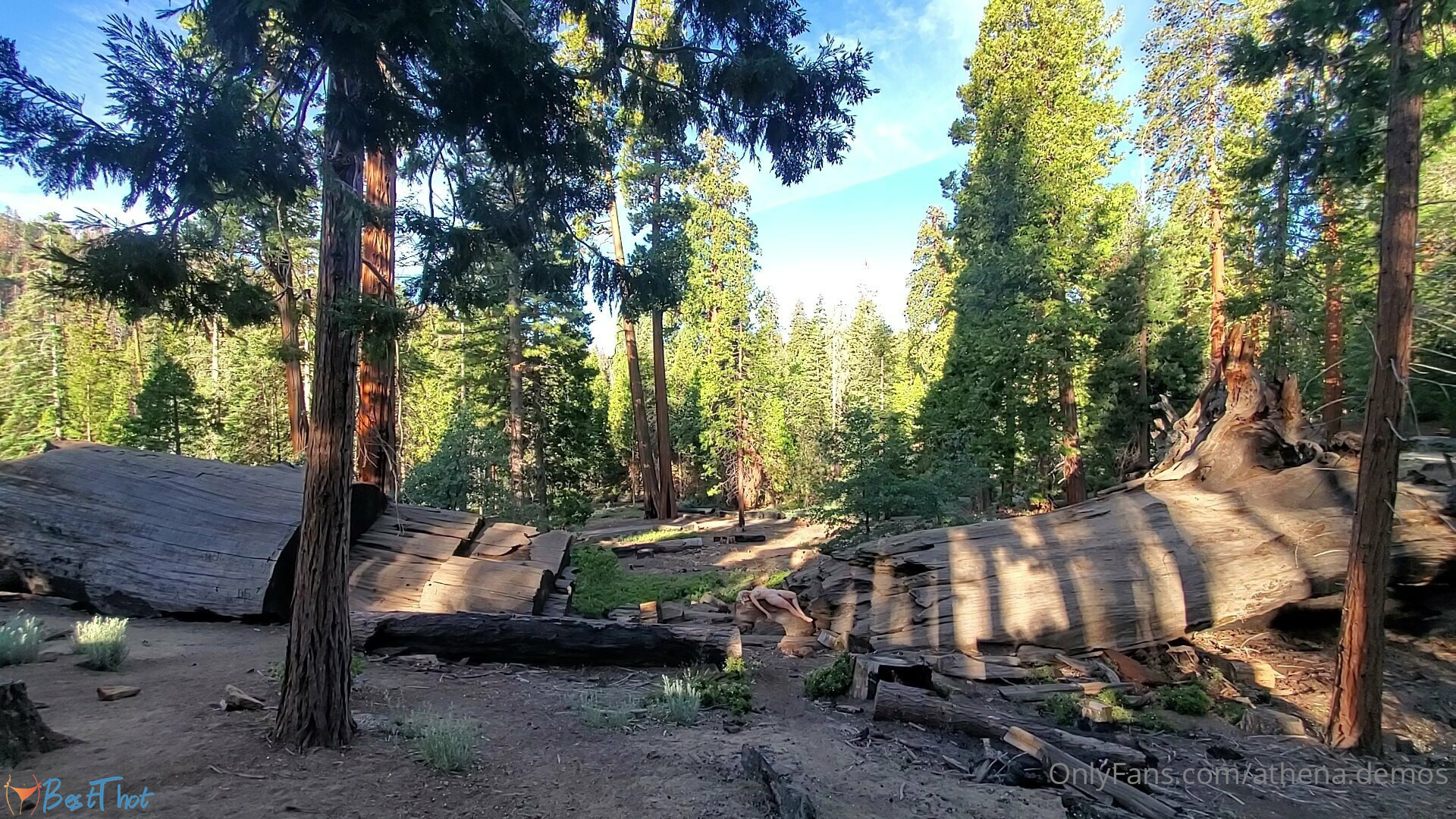 Photo by athena-demos published on January 25,2025 13:00:37 - BestThots