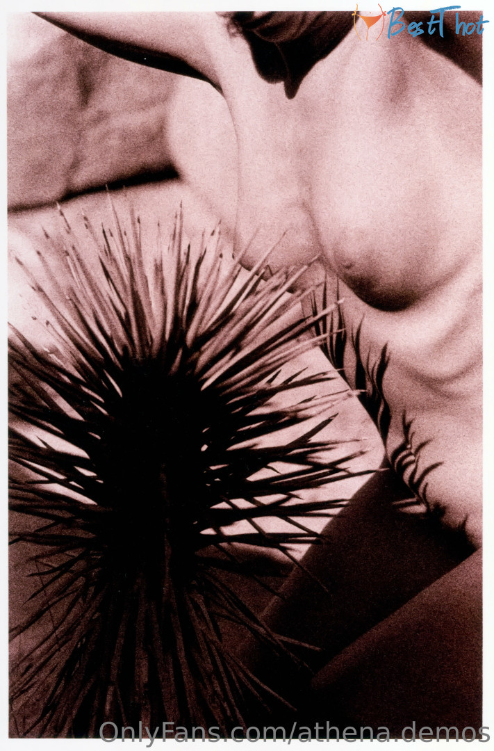 Photo by athena-demos published on January 25,2025 13:02:24 - BestThots