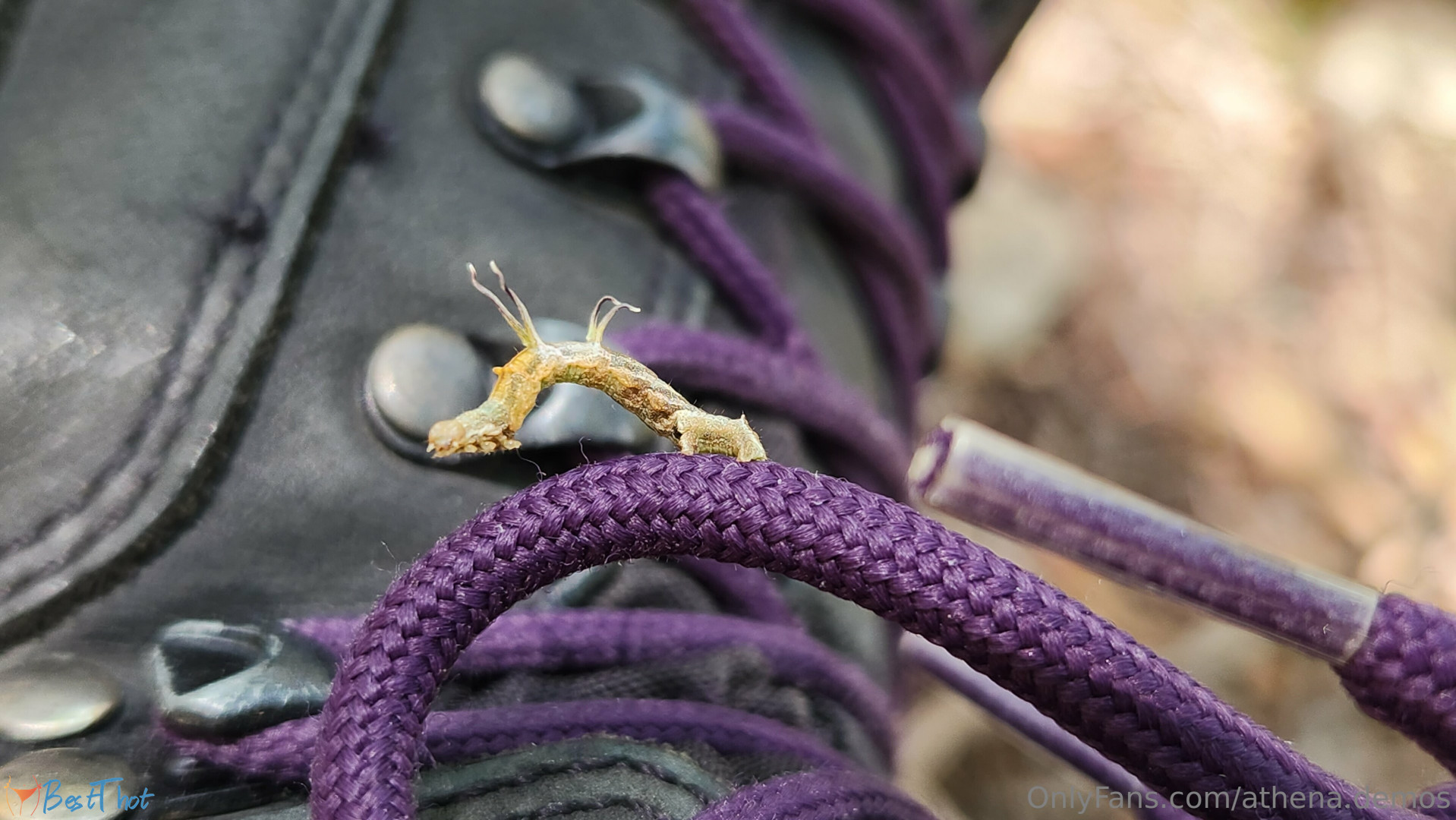 Photo by athena-demos published on January 25,2025 14:00:03 - BestThots