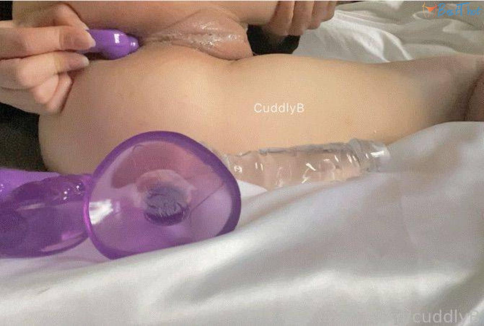 Photo by cuddlyb published on January 25,2025 17:00:44 - BestThots