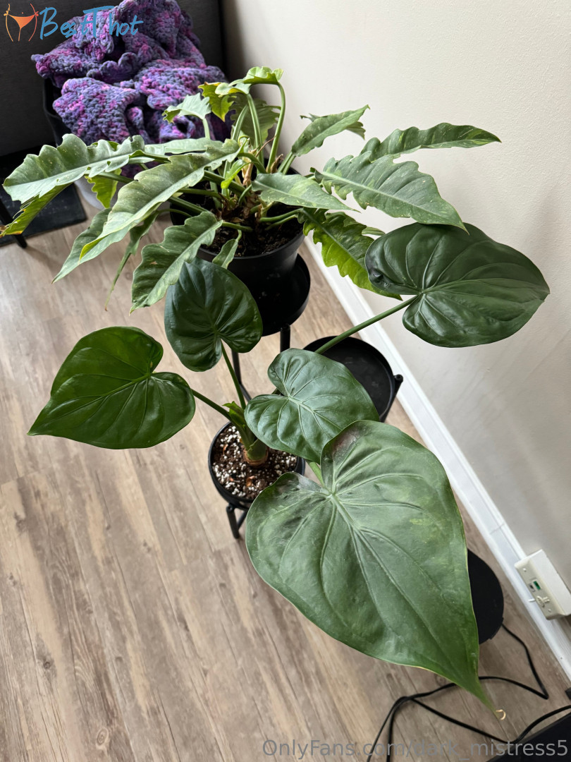 Photo by dark-mistress5 published on January 25,2025 23:00:27 - BestThots