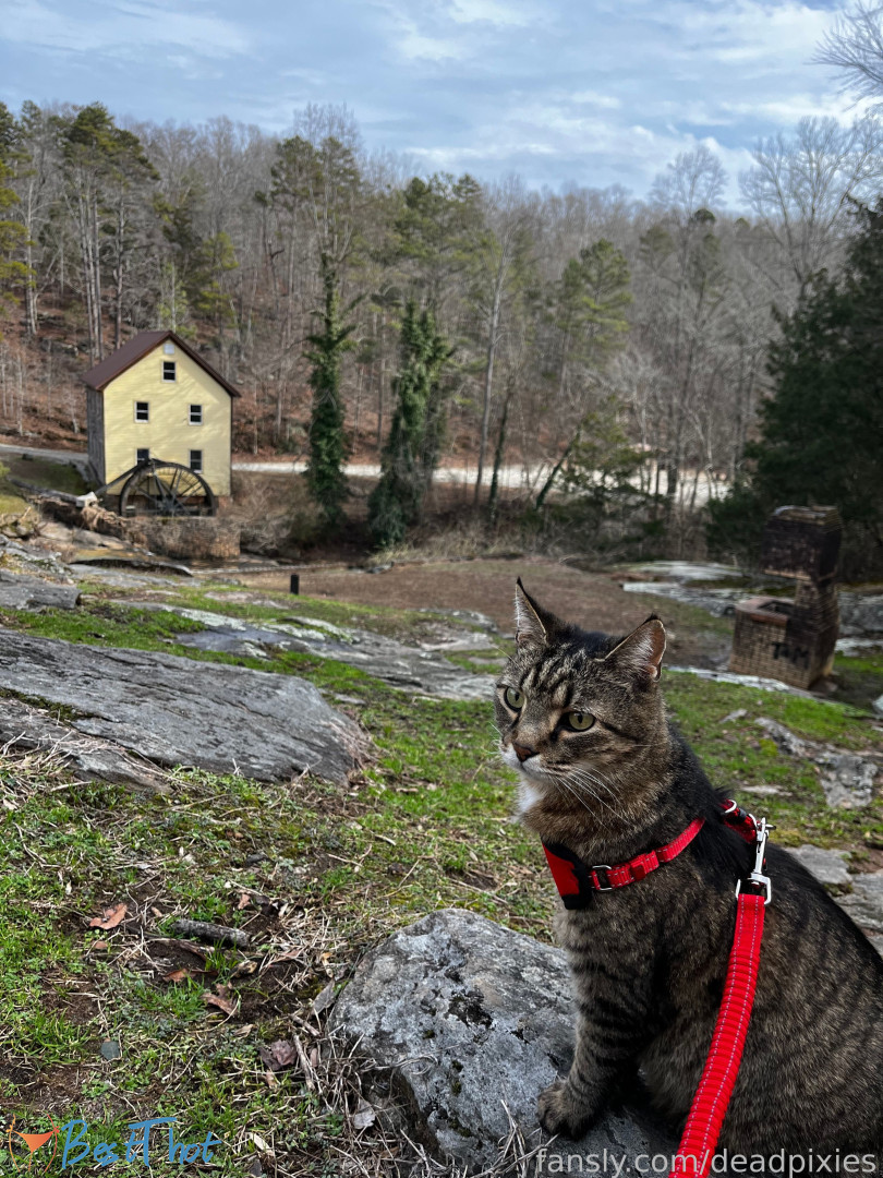 Photo by deadpixies published on January 26,2025 15:03:03 - BestThots