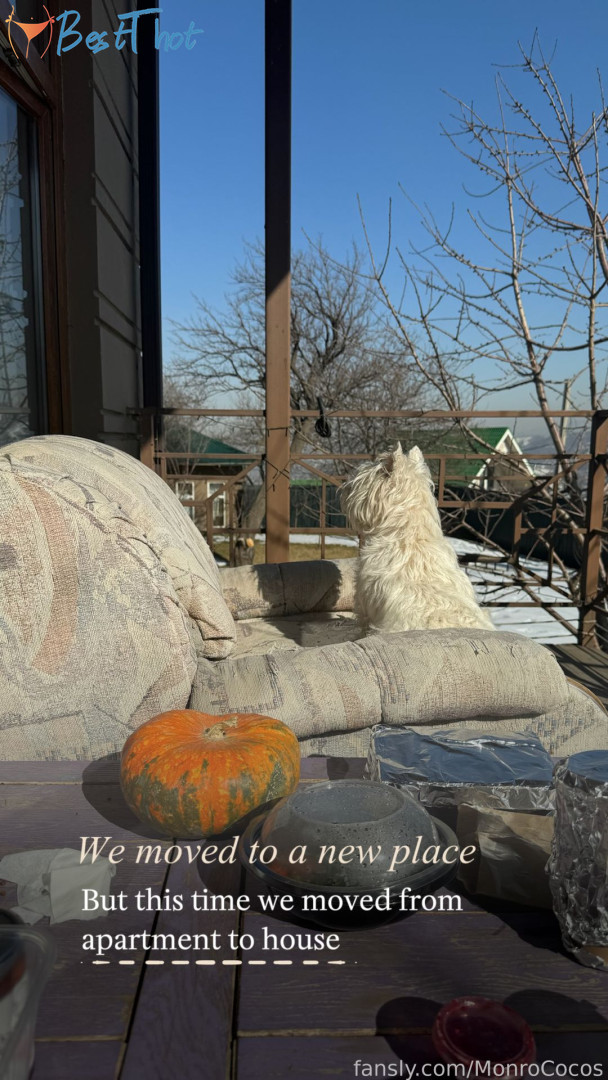 Photo by monrococos published on January 26,2025 20:00:03 - BestThots