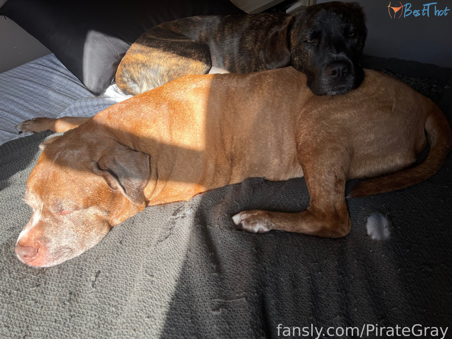 Photo by pirategray published on January 27,2025 02:03:14 - BestThots