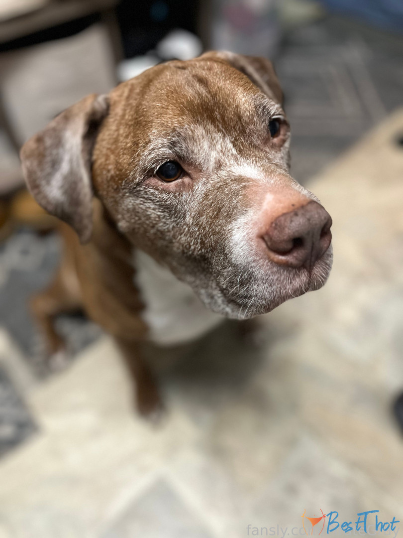 Photo by pirategray published on January 27,2025 02:03:33 - BestThots