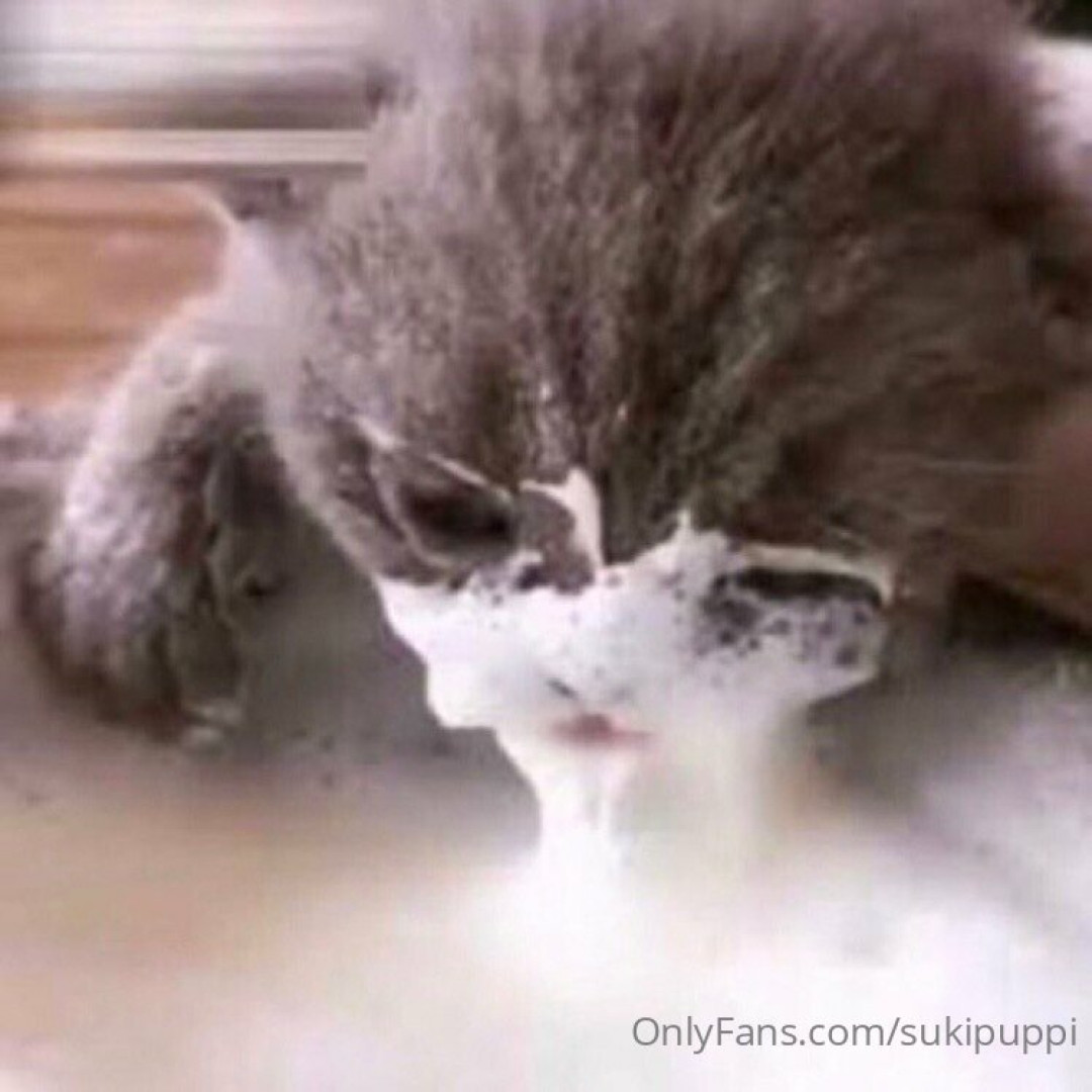 Photo by sukipuppi published on May 17,2023 13:11:29 - BestThots