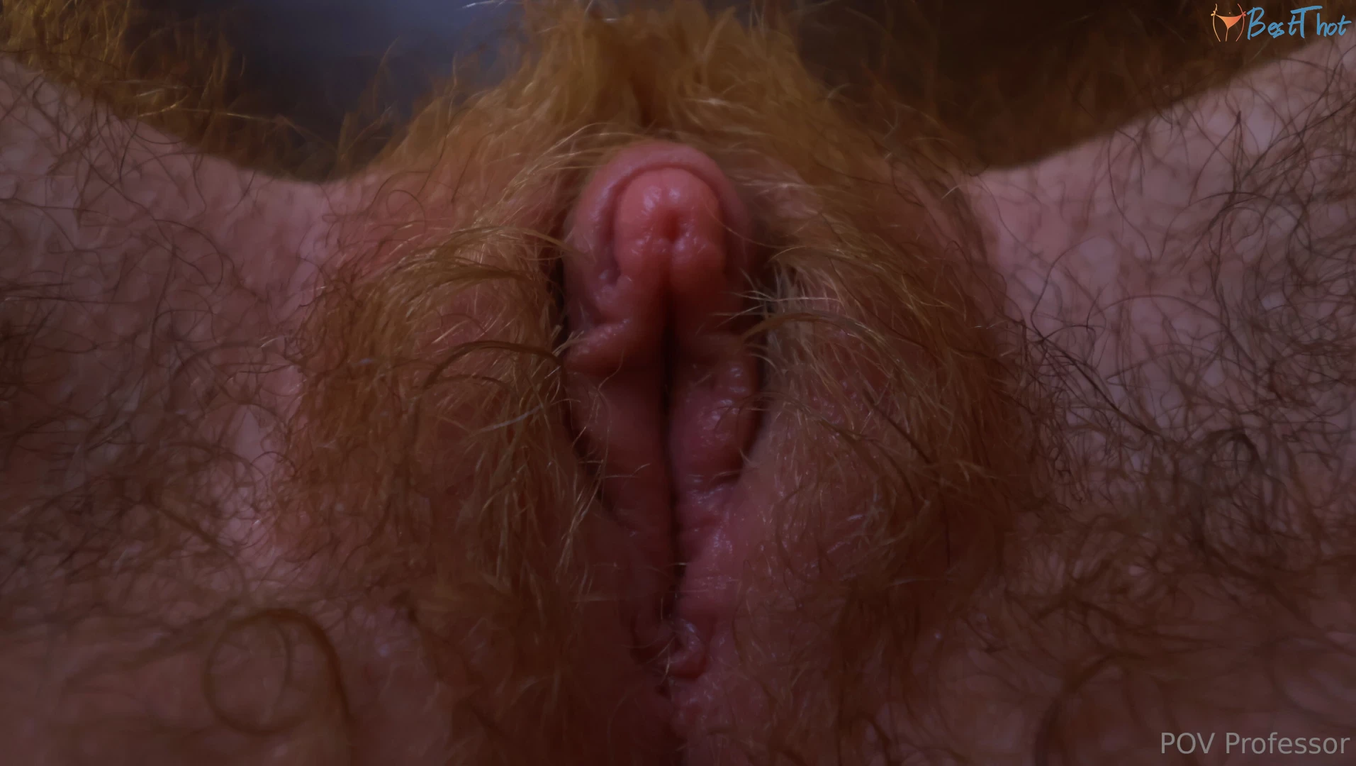 povprofessorvip #9797436