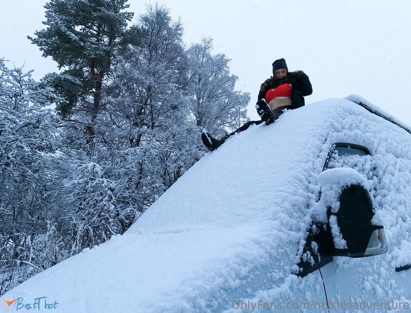 Photo by nettlesadventure published on January 27,2025 21:01:53 - BestThots