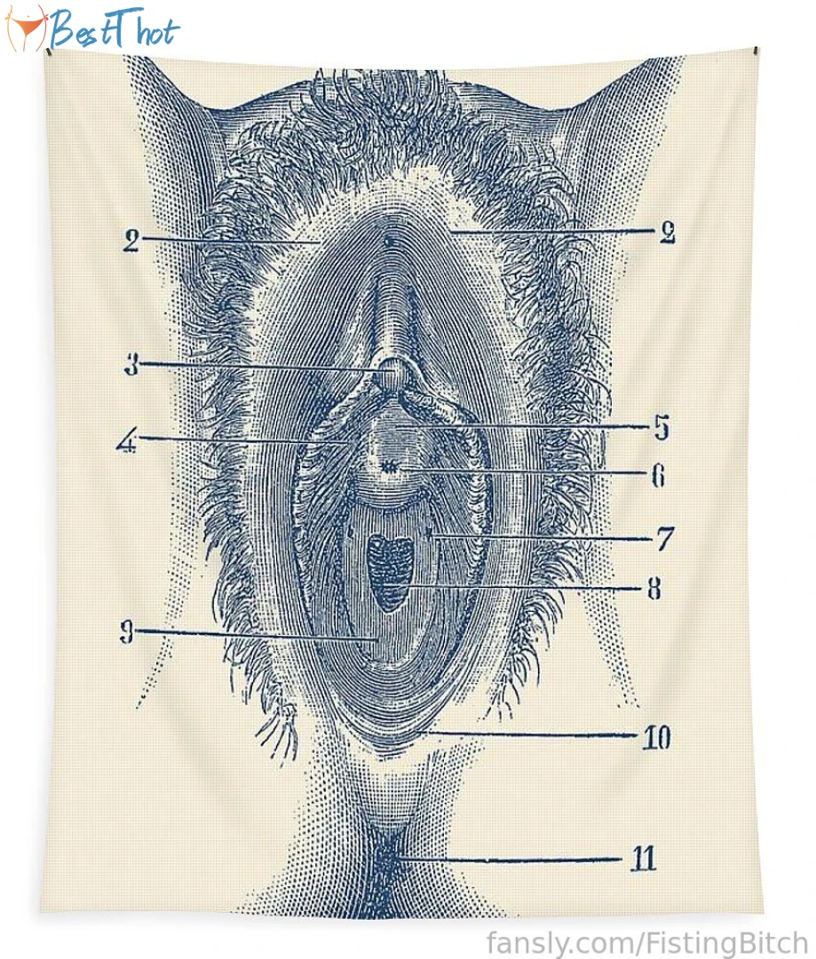 Photo by 567316945431437313 published on January 28,2025 01:02:58 - BestThots