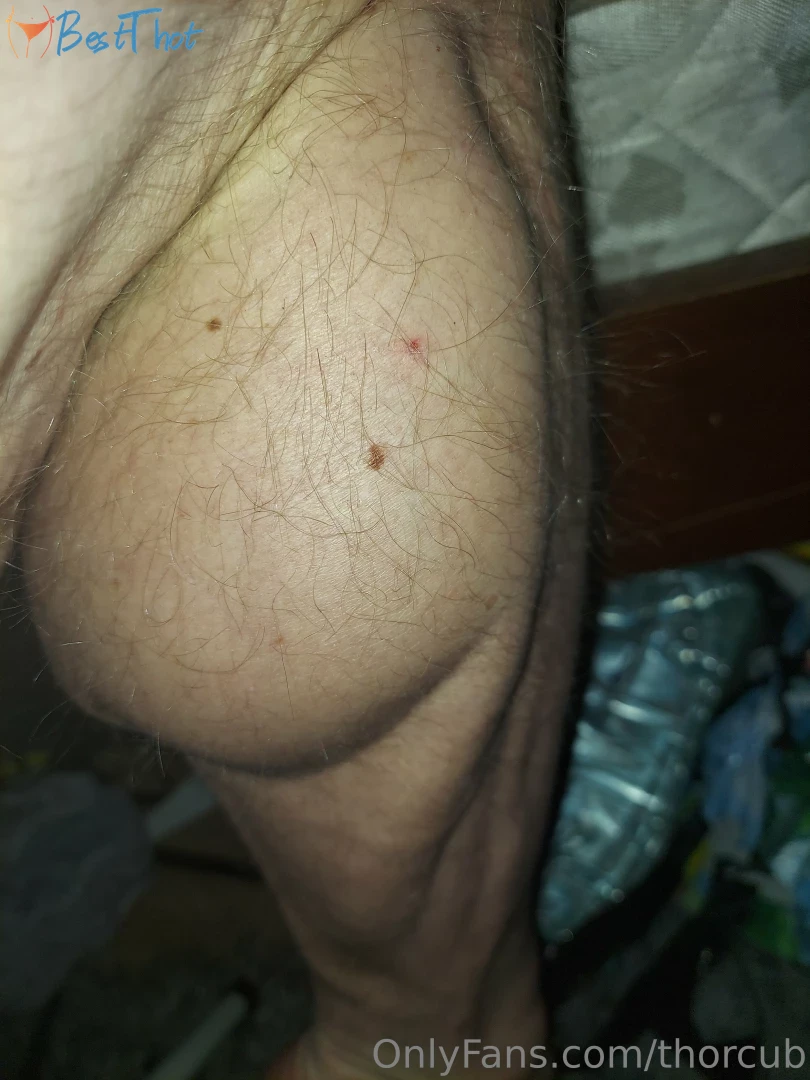 Photo by thorcub published on January 28,2025 22:02:16 - BestThots