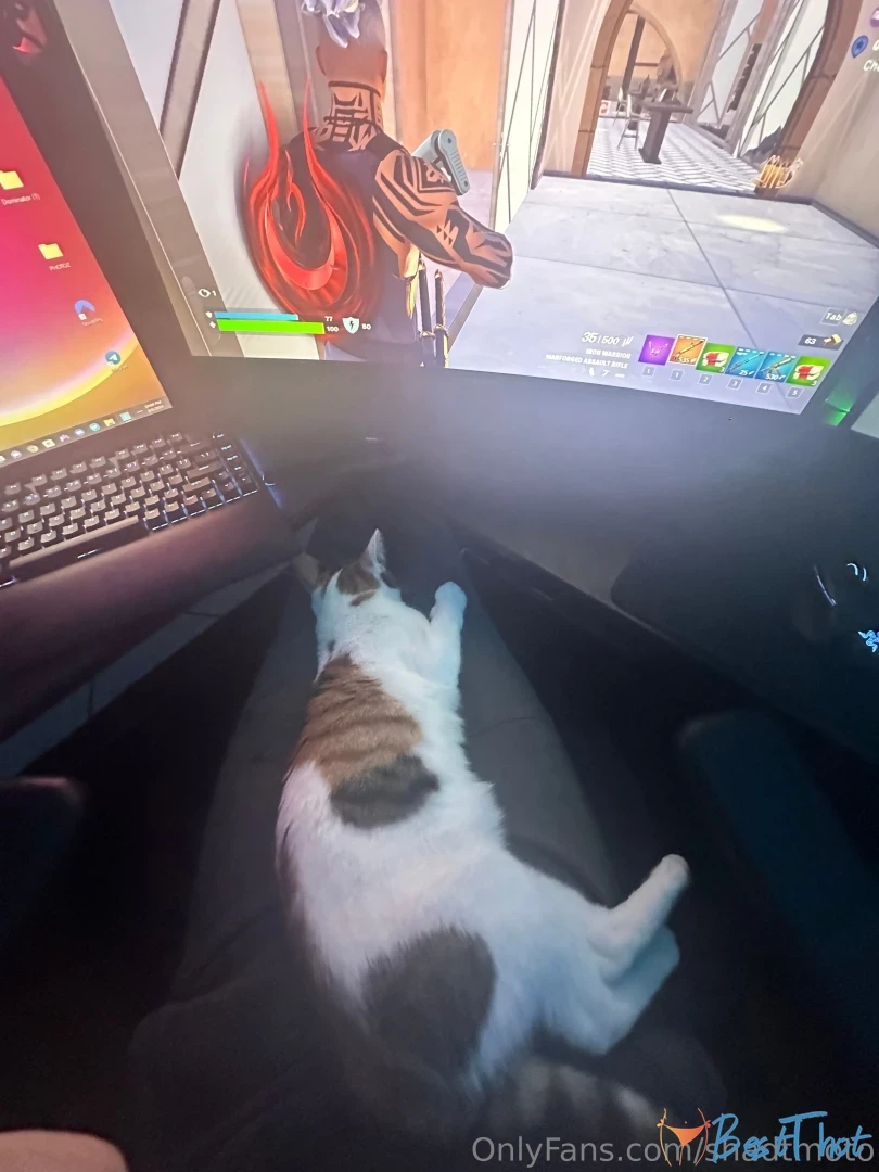 Photo by shadtmoto published on January 29,2025 02:00:28 - BestThots