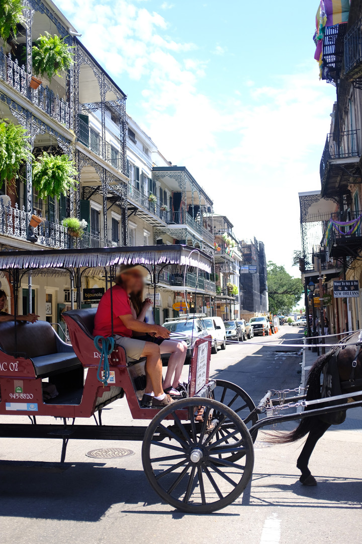 Photo by arielrebel published on June 21,2023 13:23:15 - BestThots