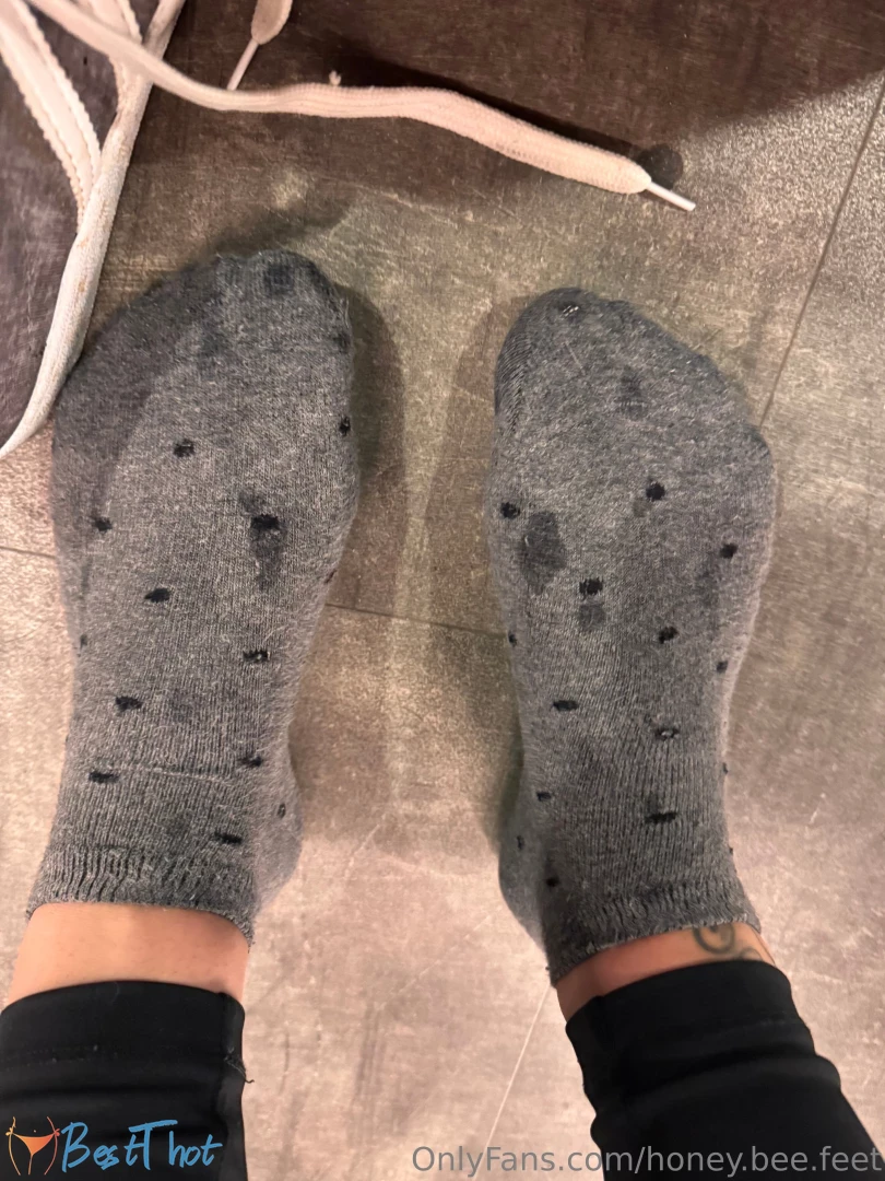 honey-bee-feet #9810304