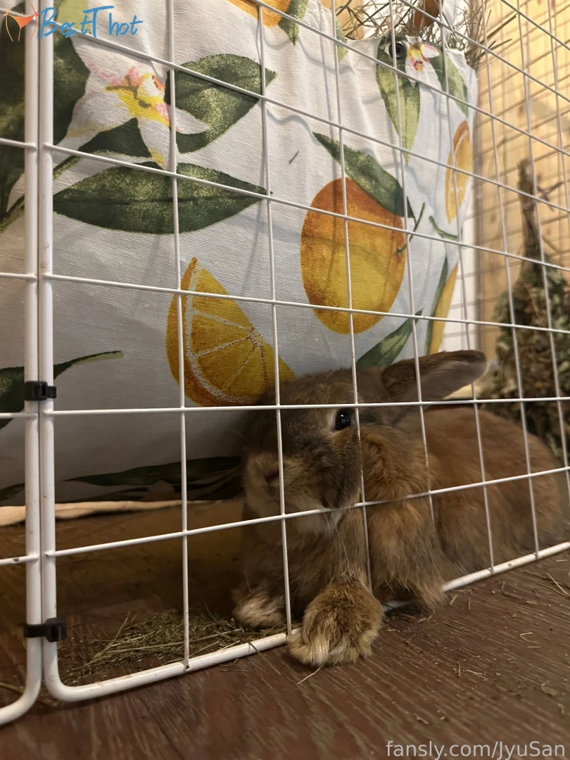 354302052463026176 #9810543