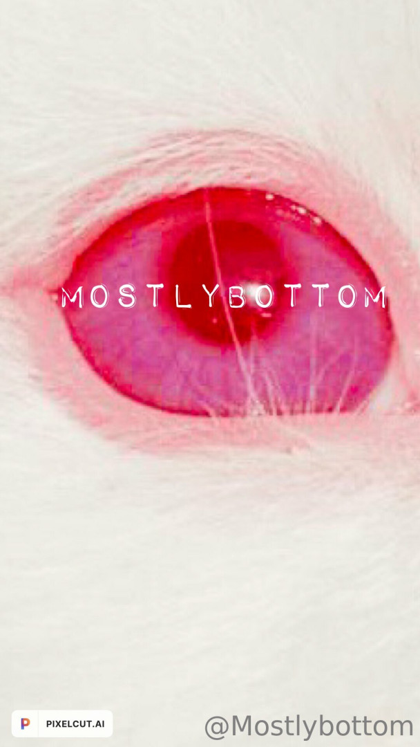 Photo by mostlybottom published on June 1,2023 17:37:27 - BestThots