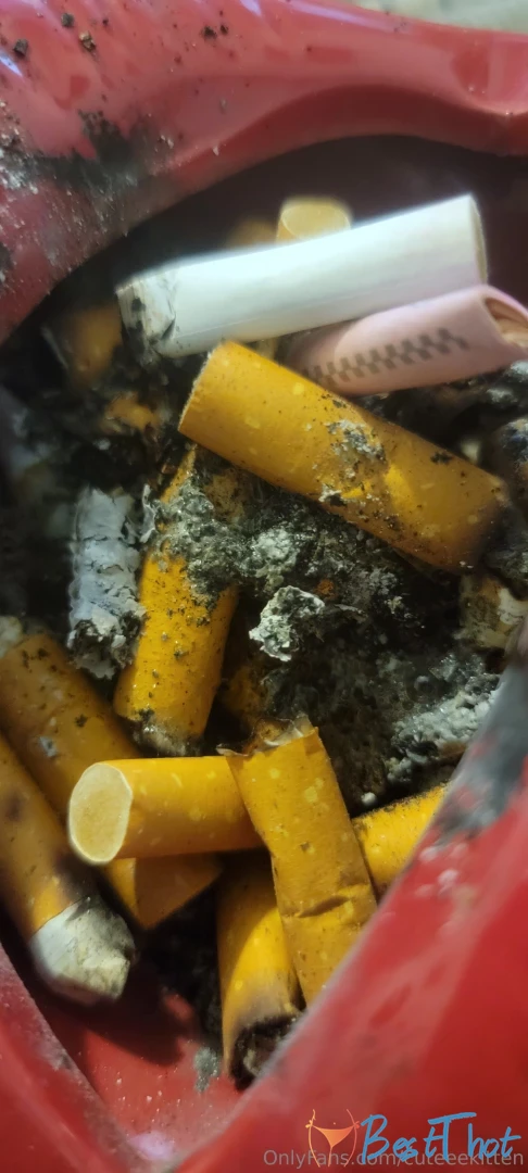 Photo by cuteeekitten published on January 29,2025 10:00:46 - BestThots