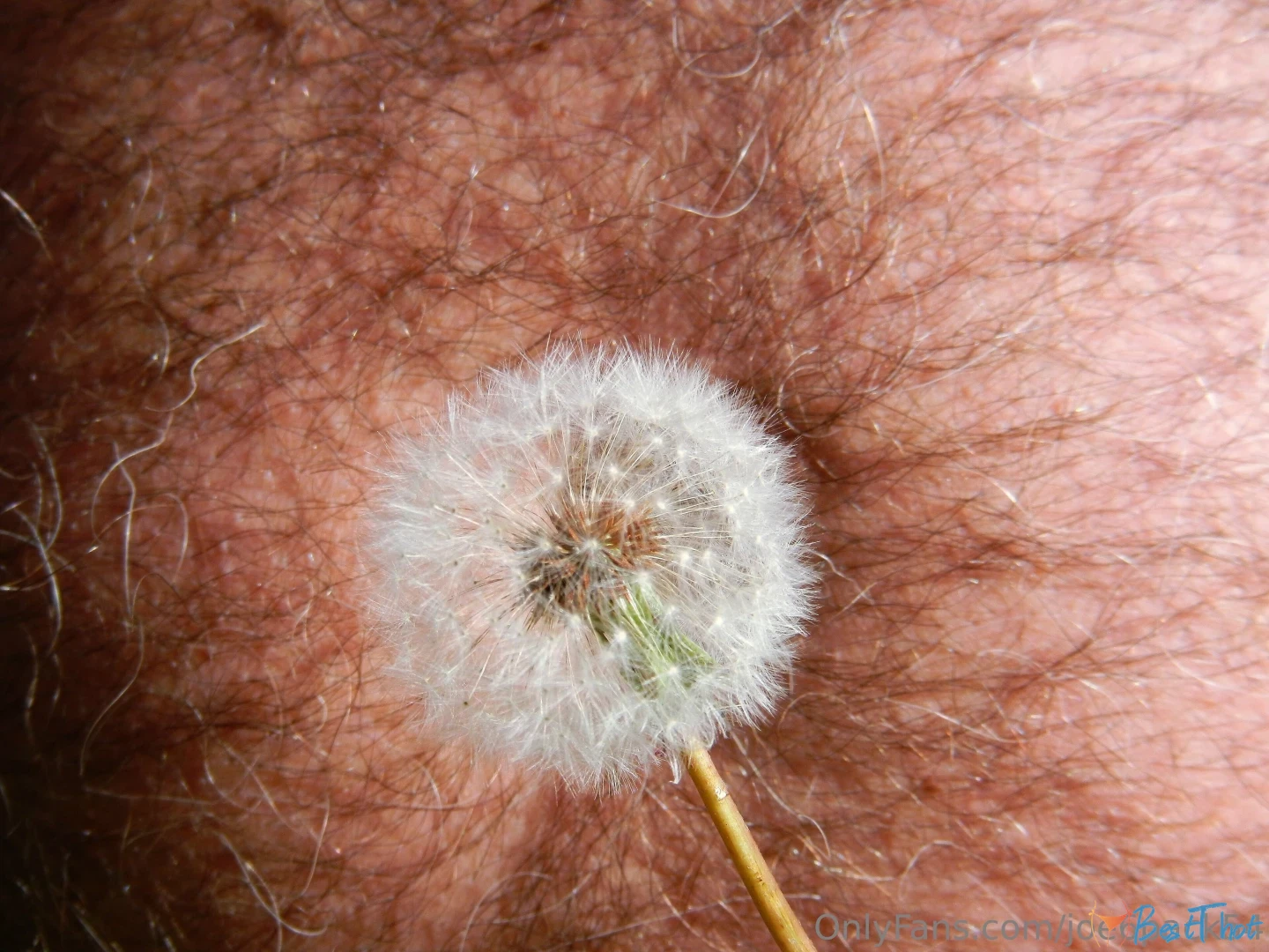 Photo by joe6pack54 published on January 29,2025 13:00:50 - BestThots