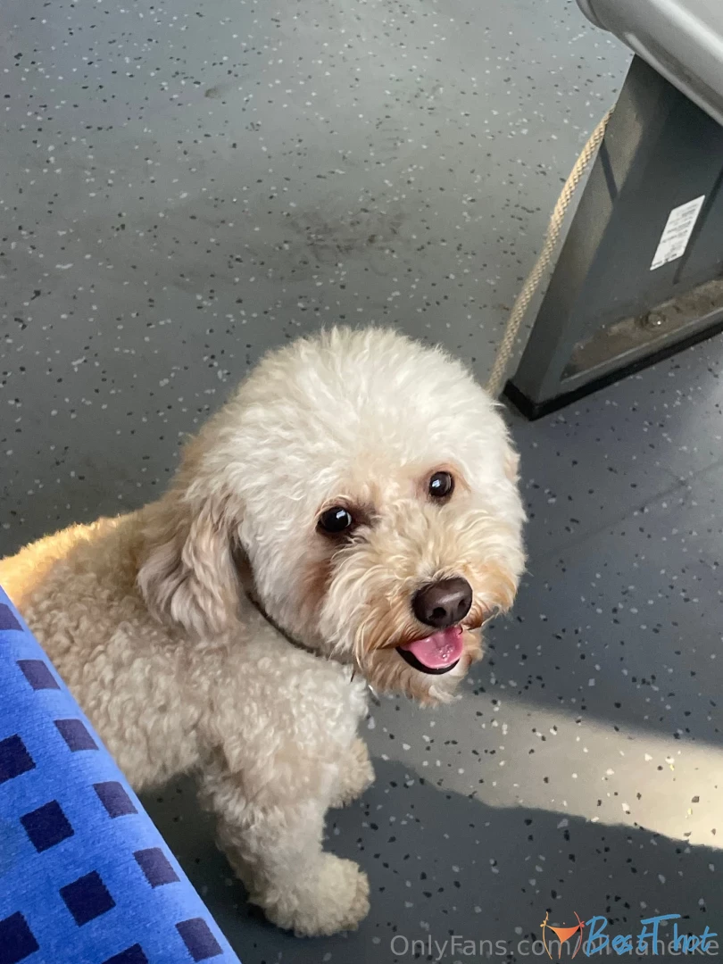 olivianelke #9811955