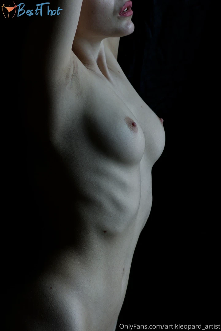 artikleopard-artist #9812194