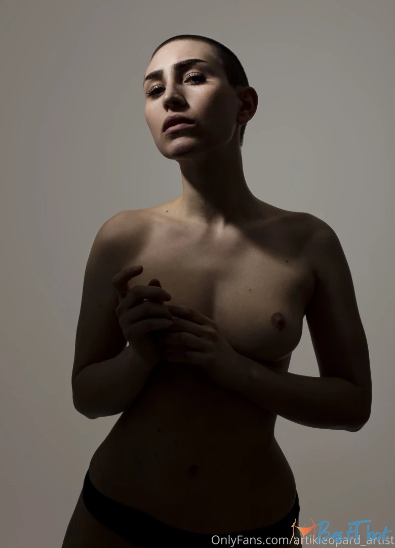 artikleopard-artist #9812210