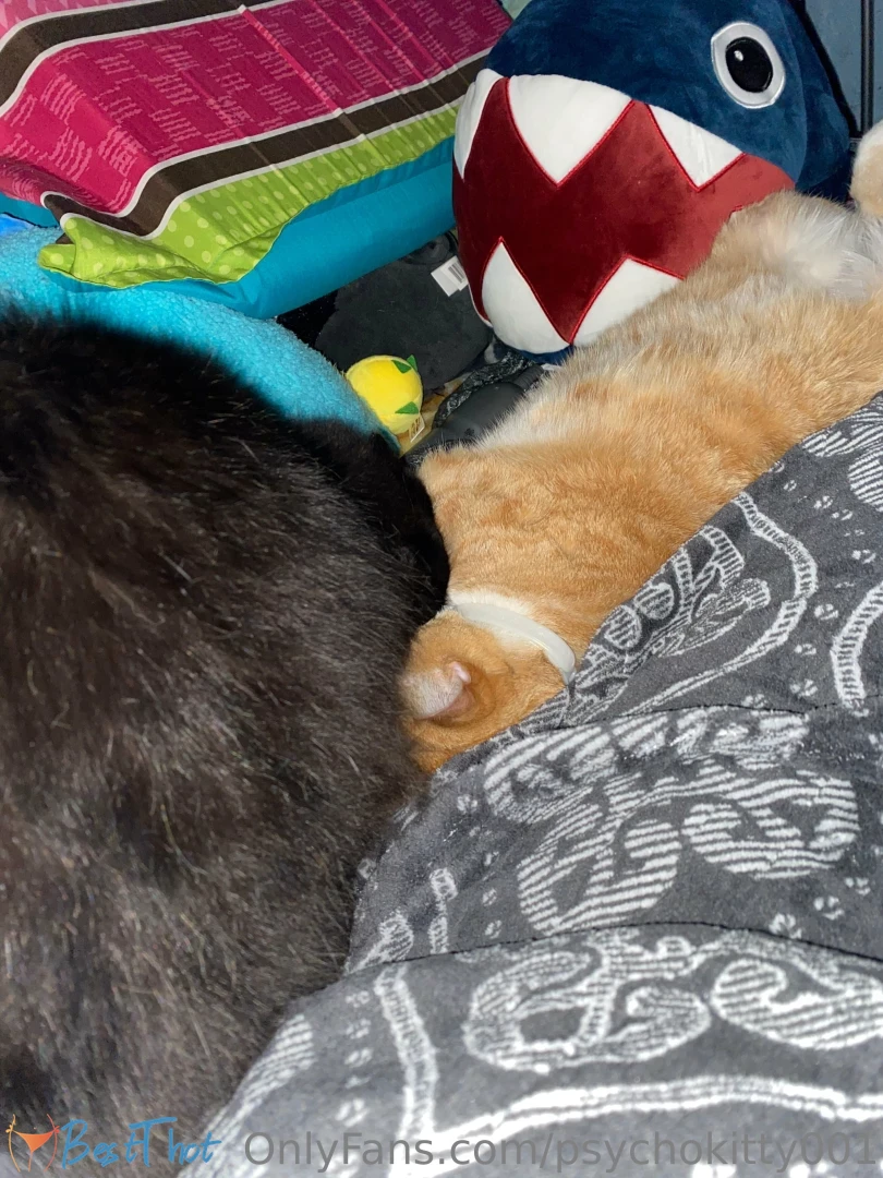 Photo by psychokitty424 published on January 29,2025 12:01:20 - BestThots