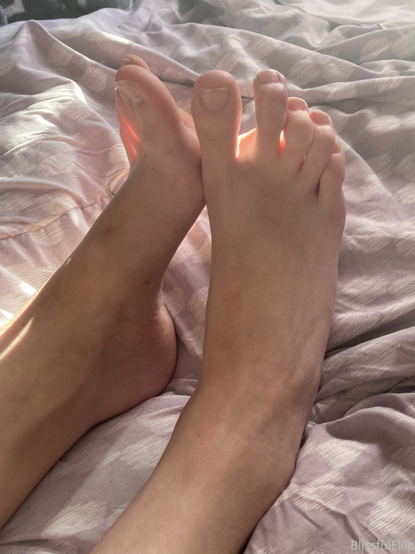 Photo by blissfulellie published on December 11,2023 06:16:07 - BestThots