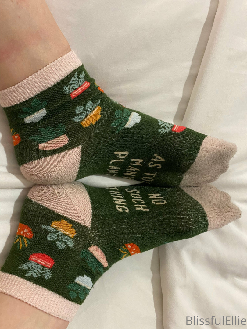 Photo by blissfulellie published on December 11,2023 06:18:17 - BestThots
