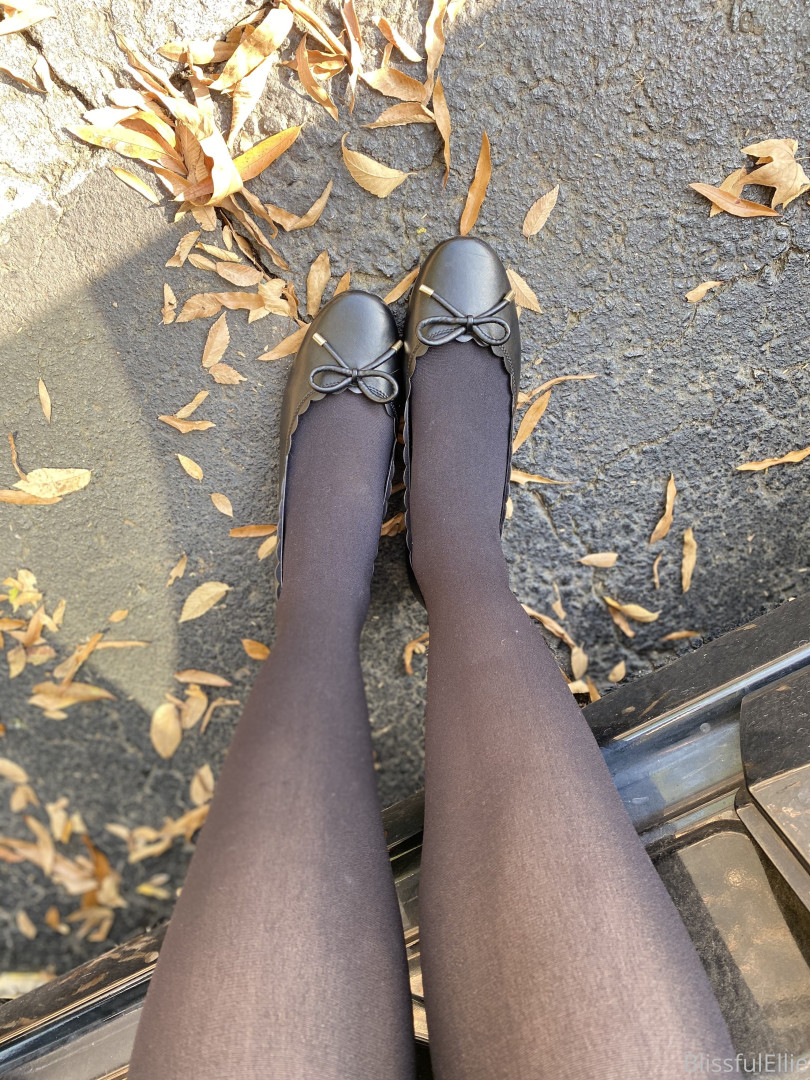 Photo by blissfulellie published on December 11,2023 06:19:45 - BestThots
