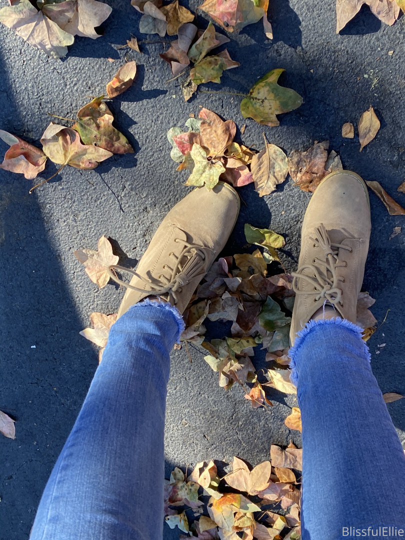 Photo by blissfulellie published on December 11,2023 06:38:11 - BestThots