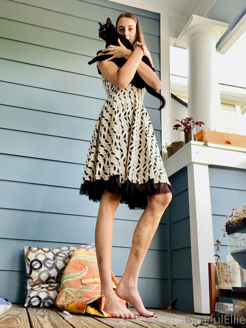 Photo by blissfulellie published on December 11,2023 06:39:27 - BestThots