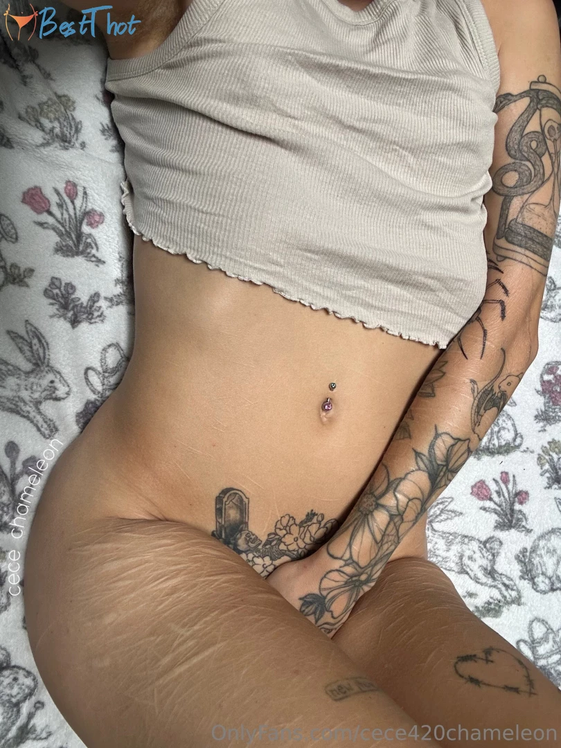 cece420chameleon #9813248