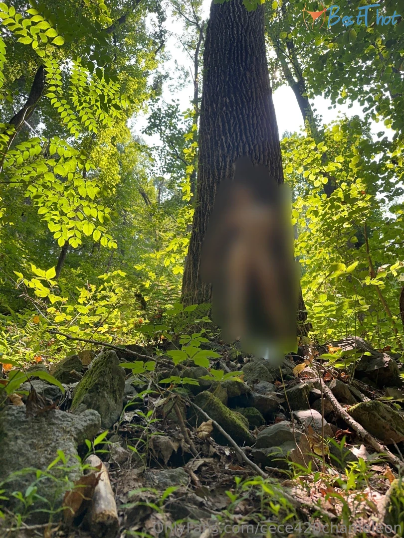 Photo by cece420chameleon published on January 29,2025 15:01:21 - BestThots