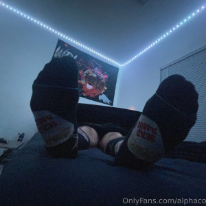 alphacollegejock #2124617