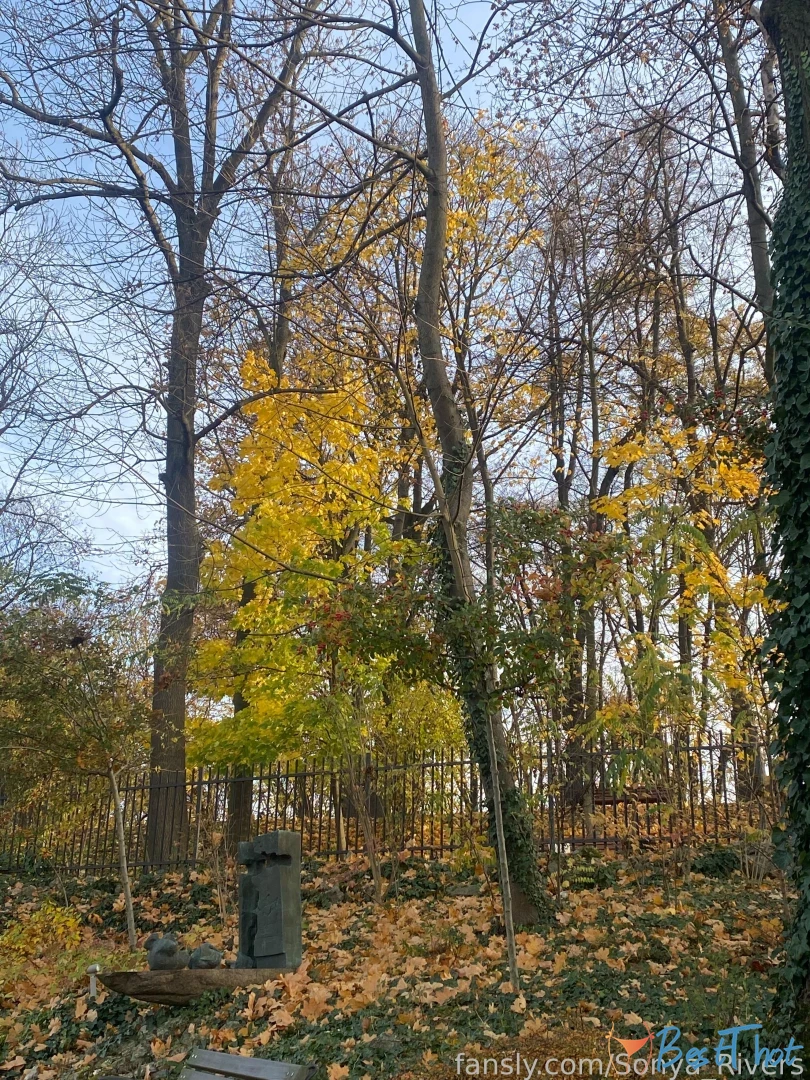 397394093157654528 #9819397