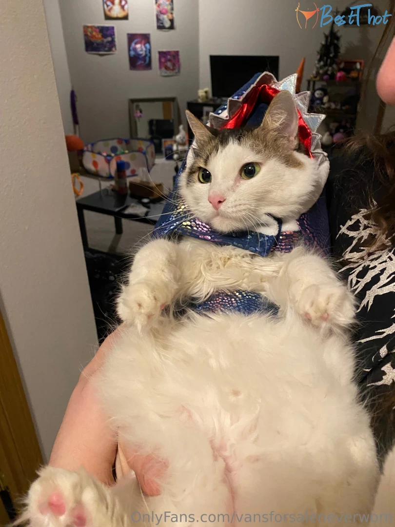 vansforsaleneverworn #9819795