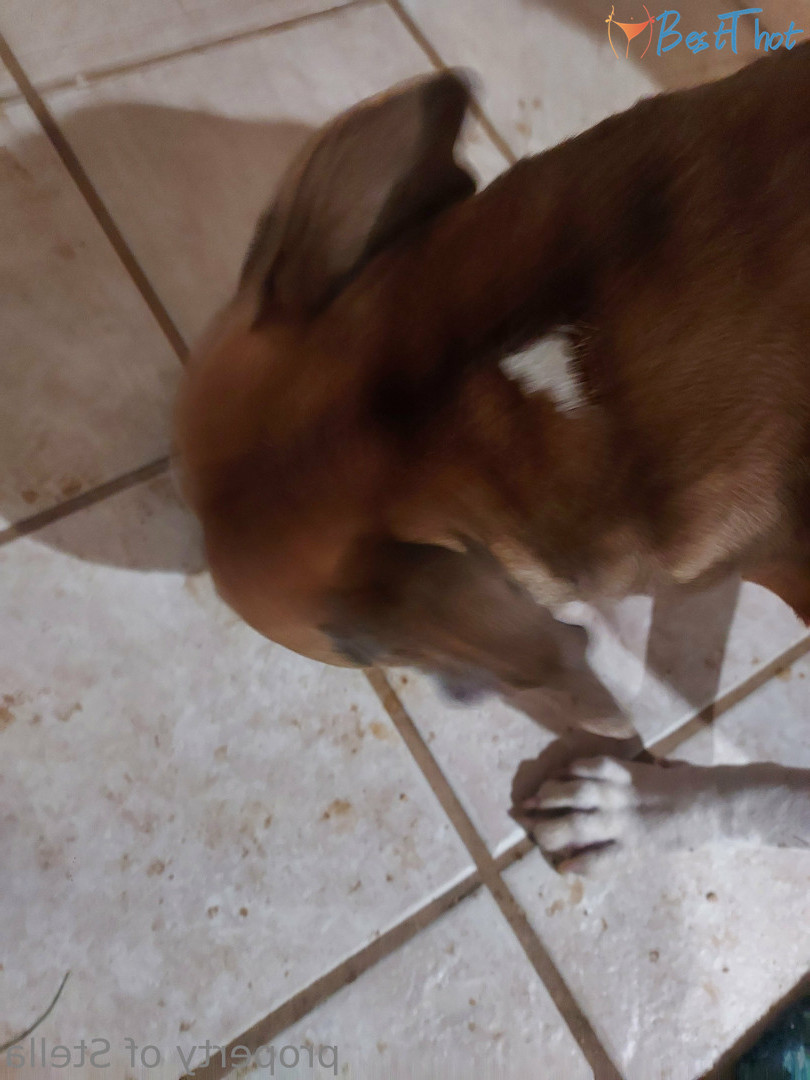 Photo by stellaaeternum published on December 17,2024 19:07:19 - BestThots
