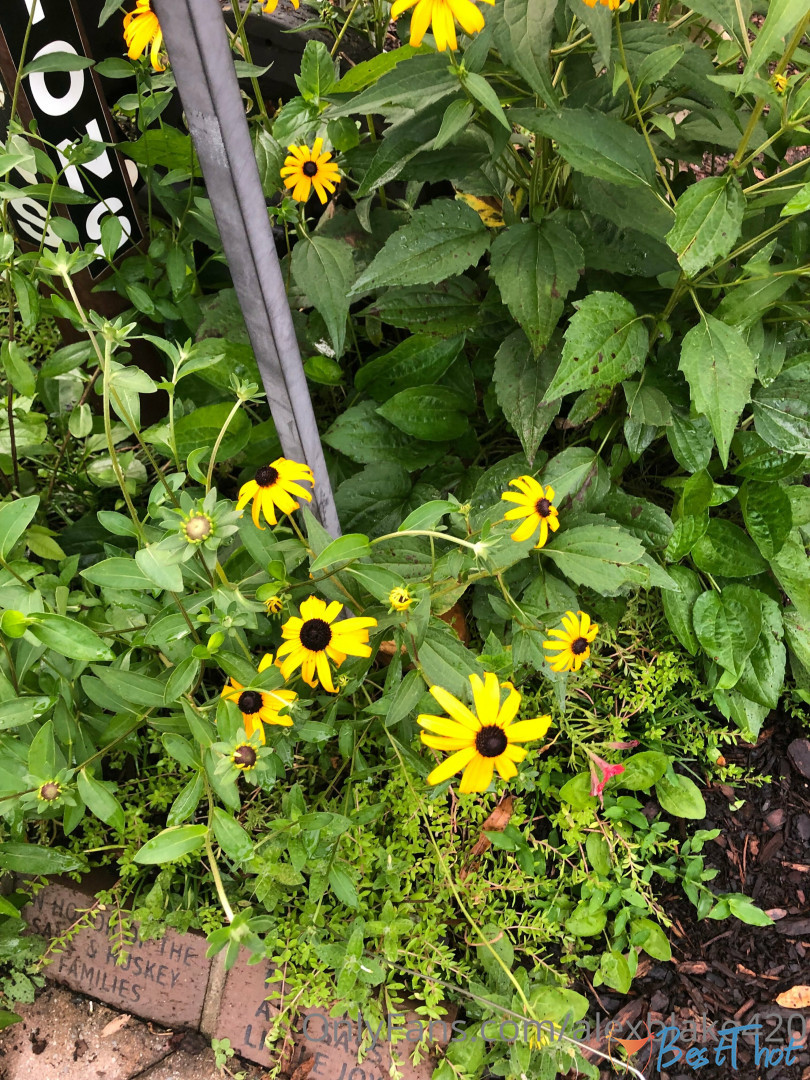 Photo by alexblake420 published on January 20,2025 03:01:29 - BestThots