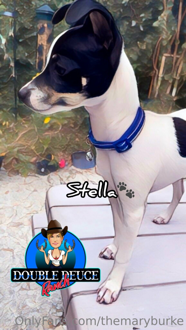 Photo by themaryburke published on May 17,2023 00:50:21 - BestThots