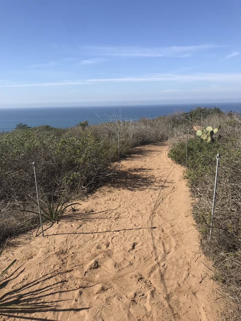 Photo by shantalmonique published on August 15,2023 04:22:03 - BestThots