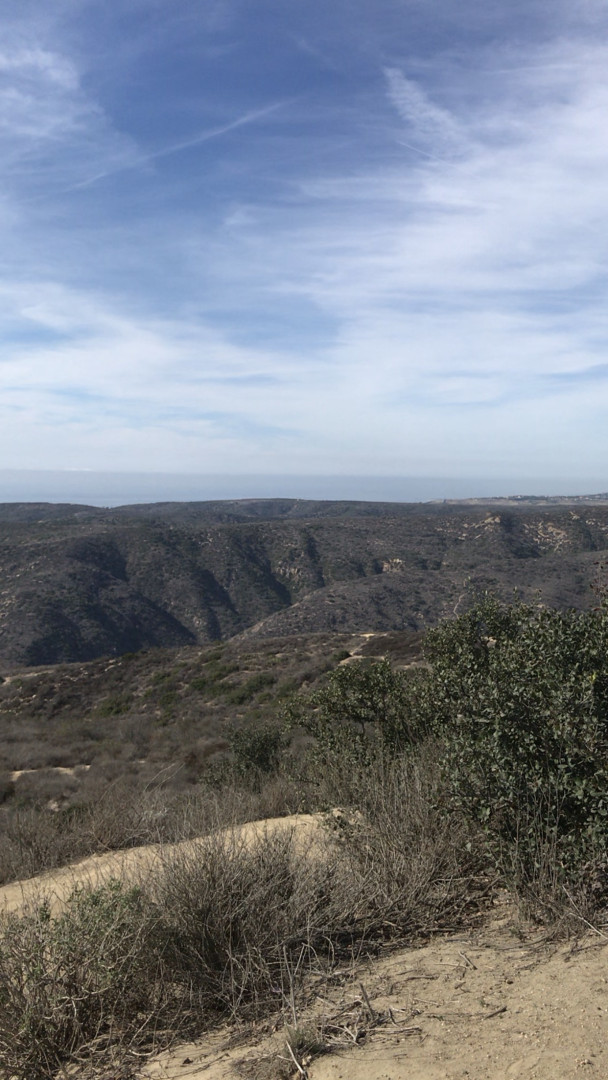 Photo by shantalmonique published on August 15,2023 04:22:55 - BestThots