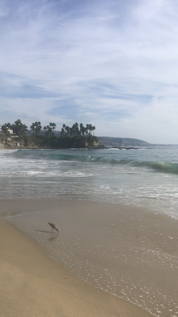 Photo by shantalmonique published on August 15,2023 04:26:25 - BestThots