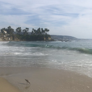 shantalmonique #3264810