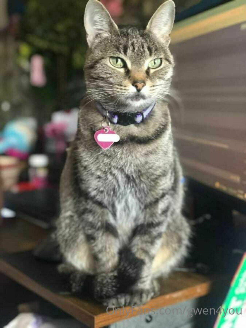 Photo by gwen4you published on June 27,2023 19:42:24 - BestThots