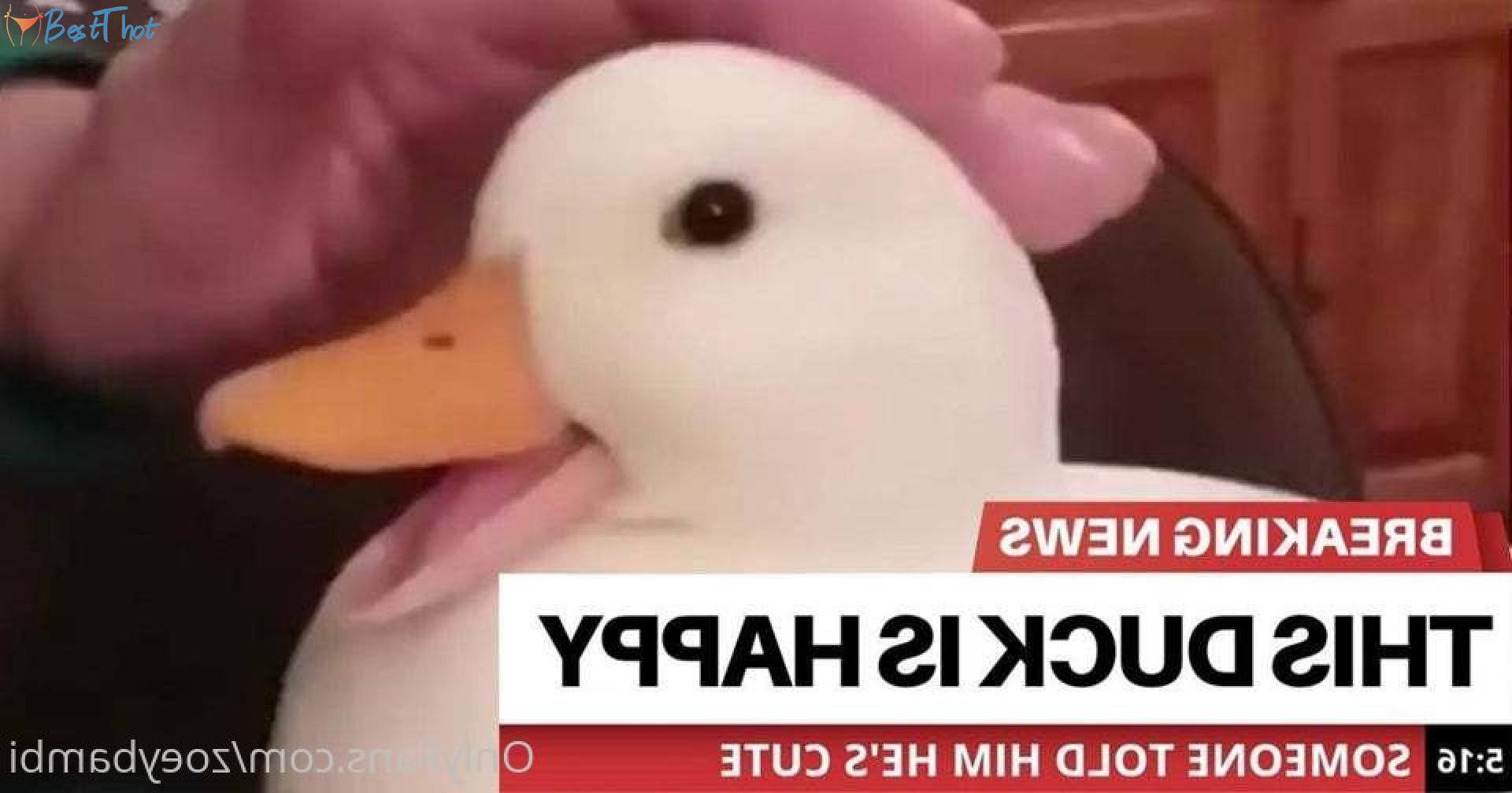 Photo by zoeybambi published on December 18,2024 17:07:40 - BestThots