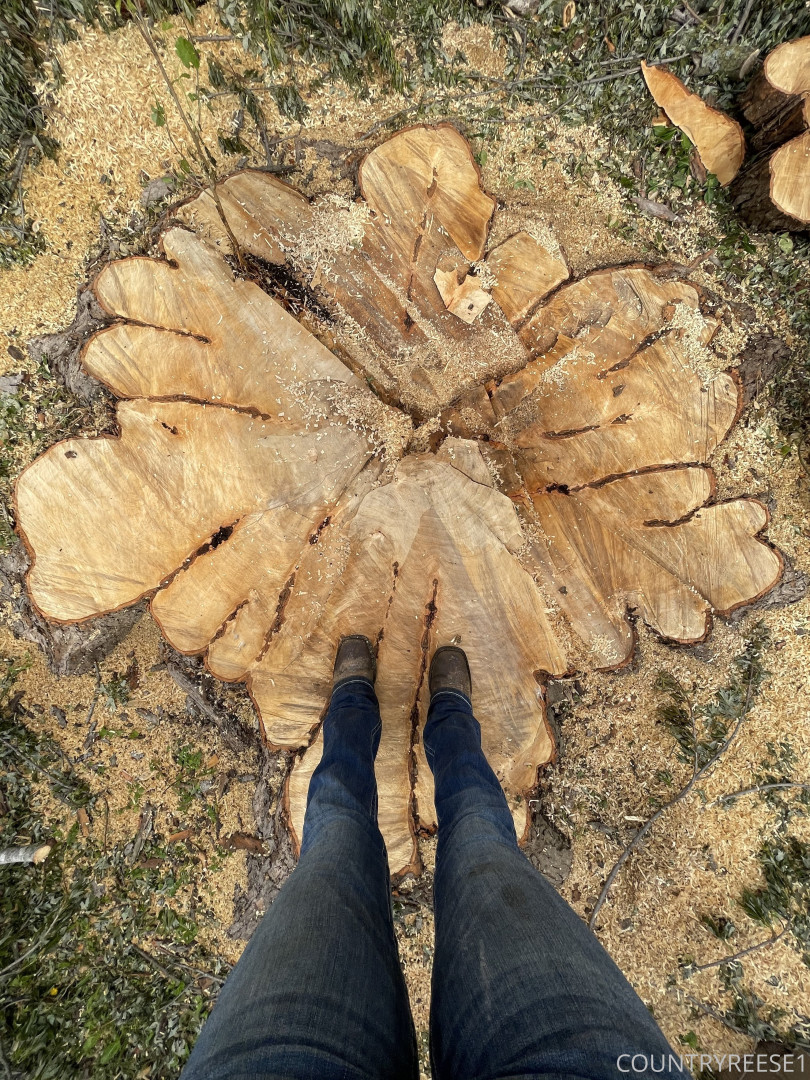 Photo by countrybanger published on June 10,2023 08:47:40 - BestThots