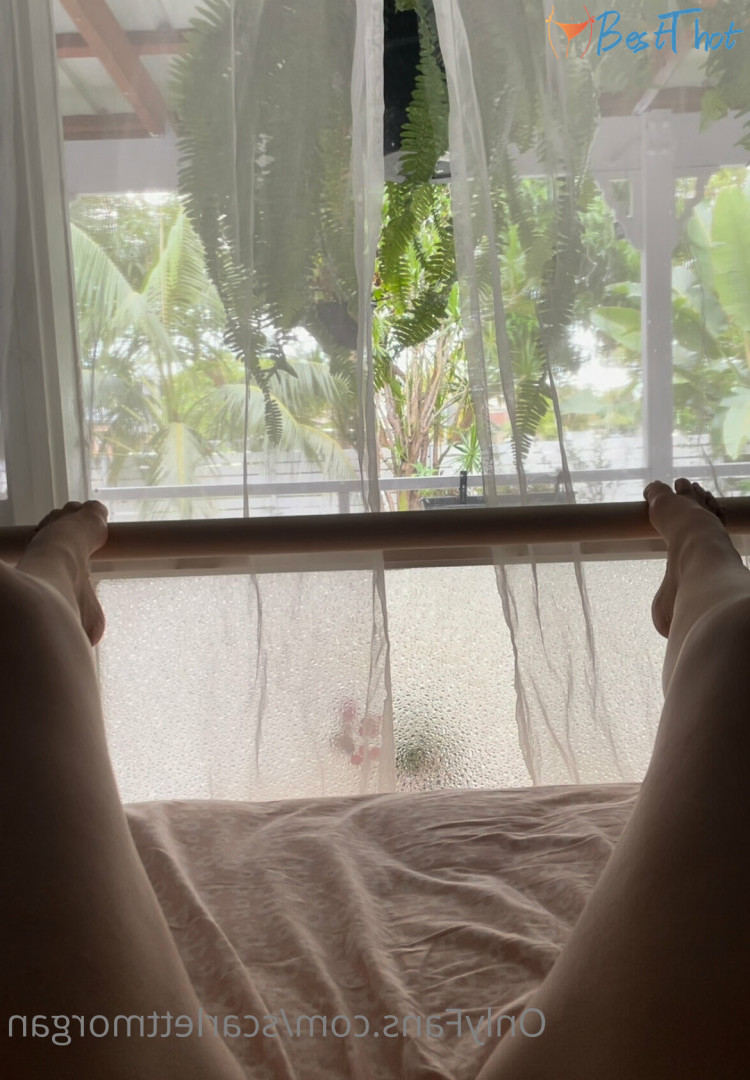 Photo by scarlettmorgan published on December 20,2024 00:06:48 - BestThots
