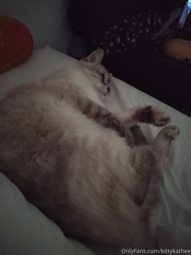Photo by kittykathee published on June 2,2023 04:33:01 - BestThots