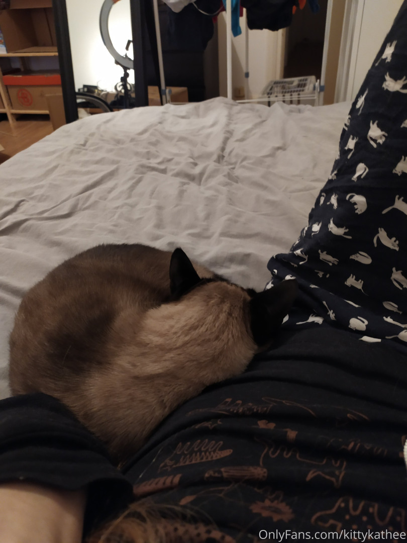 Photo by kittykathee published on June 2,2023 04:33:50 - BestThots
