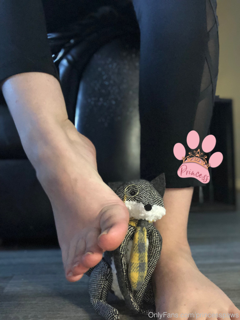 Photo by aphroditepaws published on November 24,2023 02:55:31 - BestThots