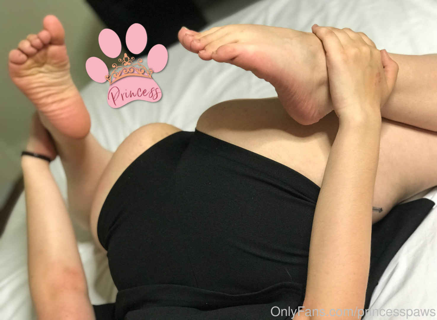 Photo by aphroditepaws published on November 24,2023 02:56:22 - BestThots